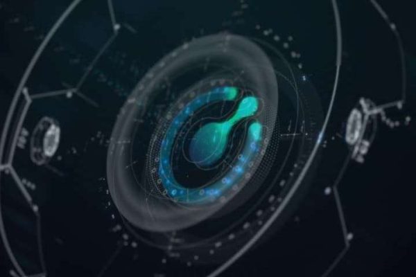 How to View the Activity of a Bitcoin Address