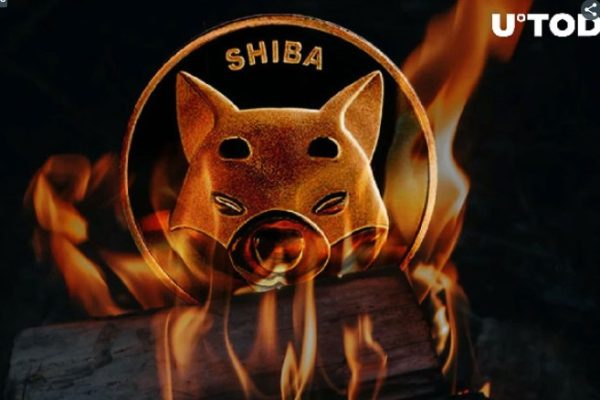 SHIB Burn Plunges Drastically, While Price Fails to Recover Overnight